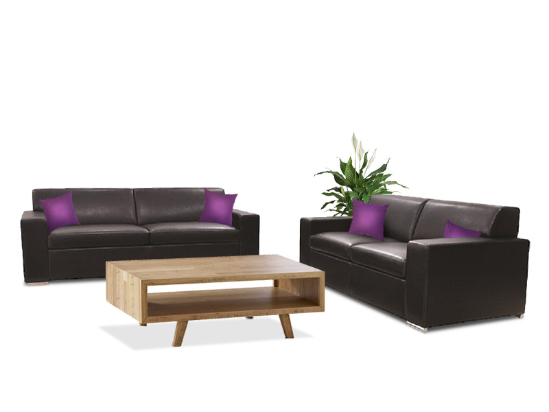 2 and 3 Seater Lounge Combo